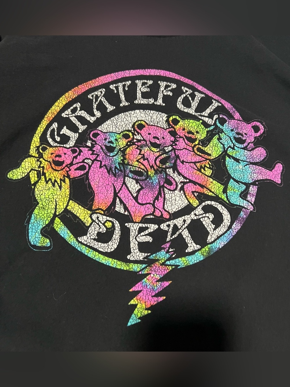 Grateful Dead Black T-Shirt Band Concert Jerry Garcia Deadhead Tour Bear Sz Lg
